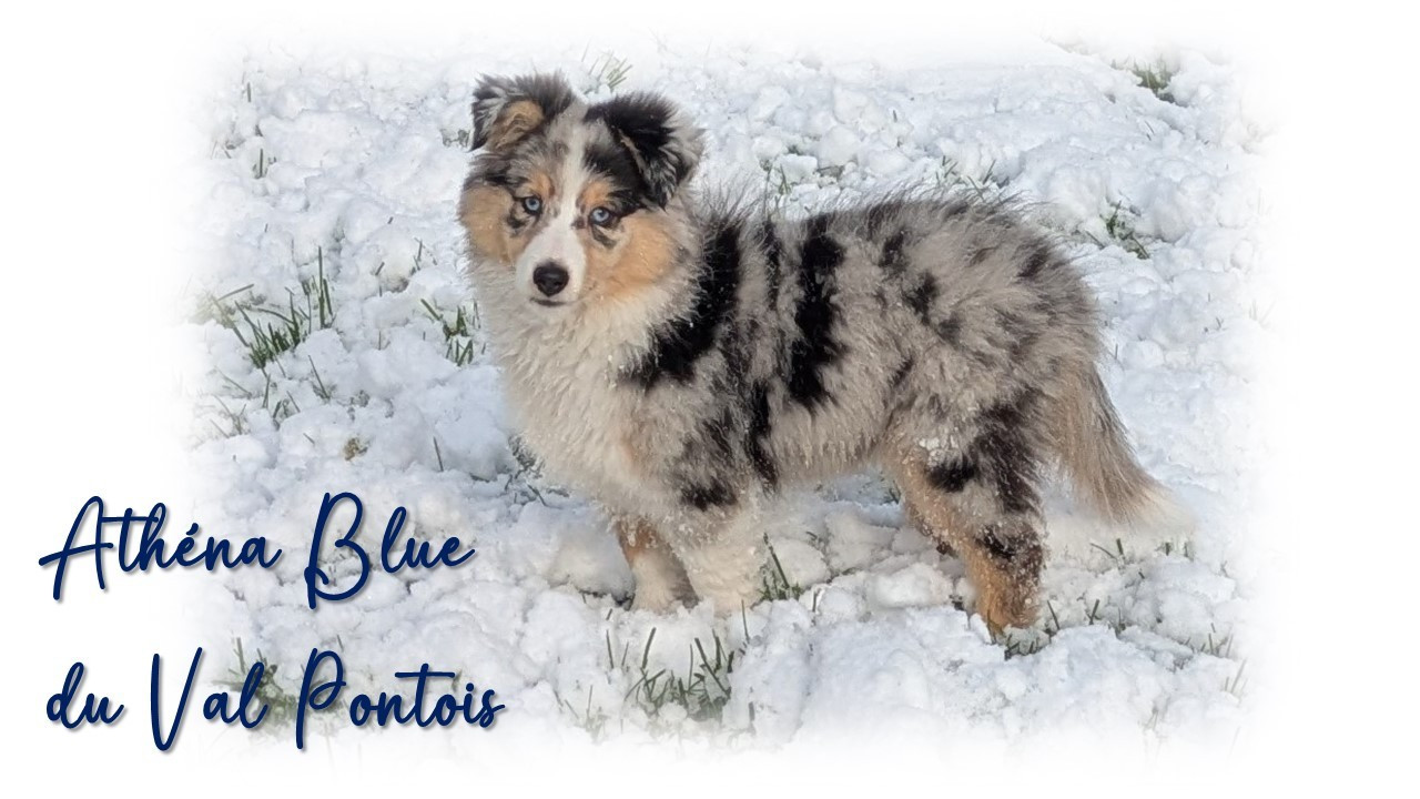 Publication : Du Domaine Des Vignes Oubliées