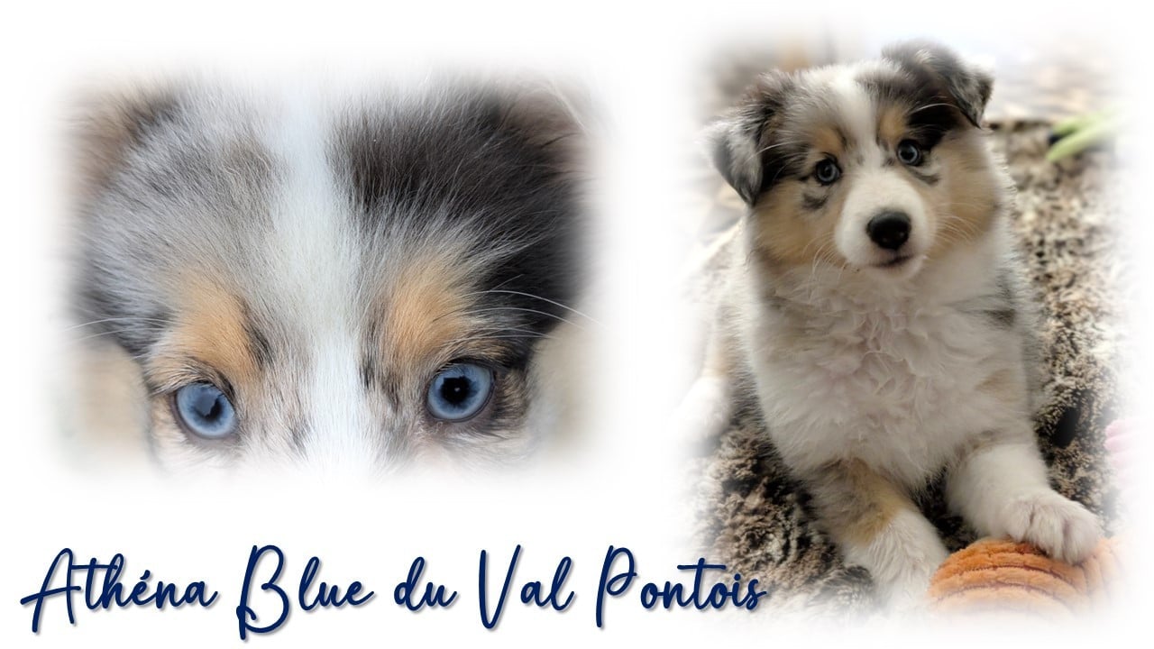 Publication : Du Domaine Des Vignes Oubliées