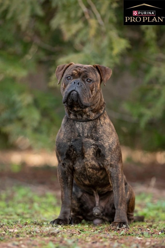 Apollon Des sources sacrees