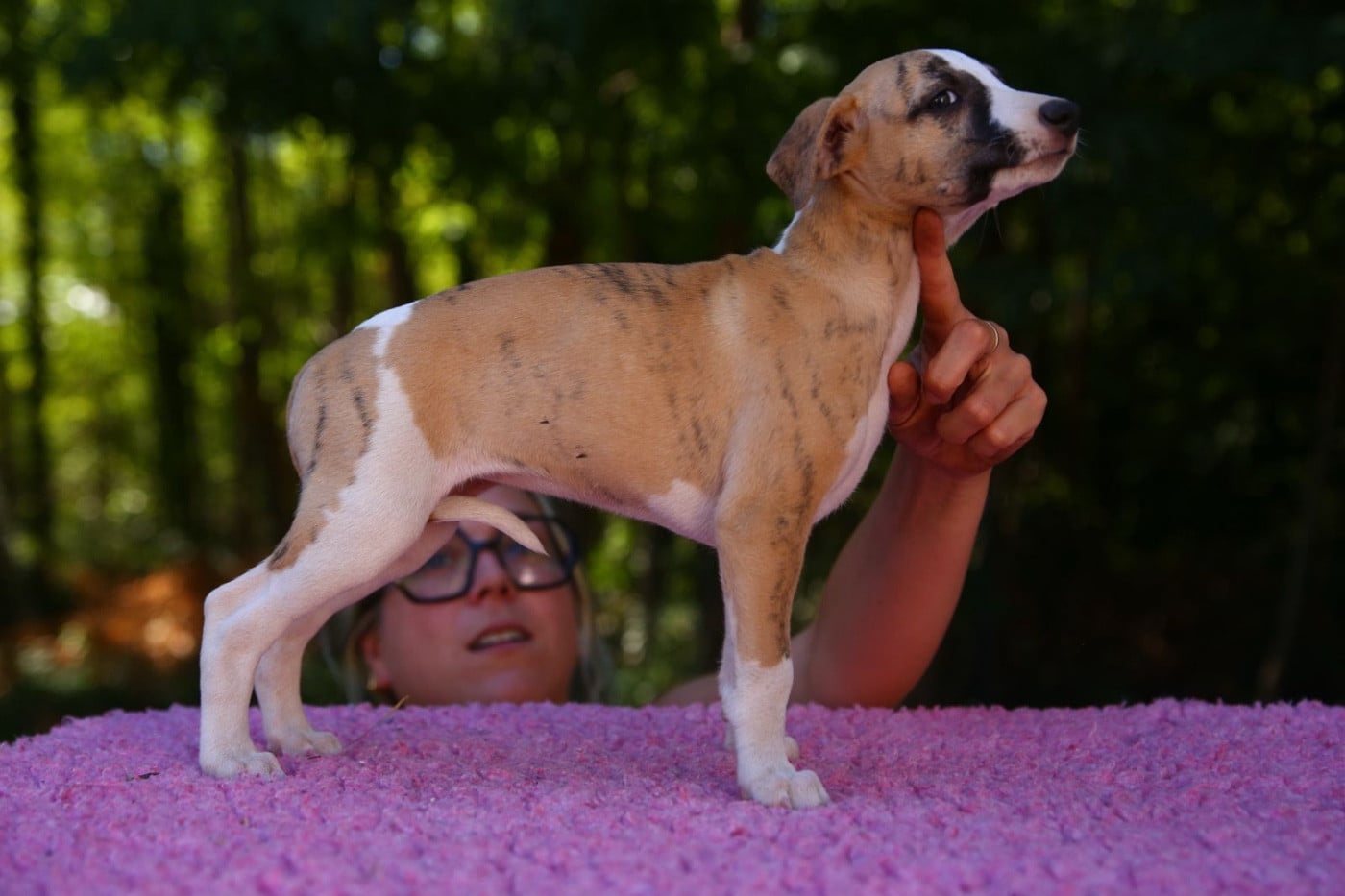 Belinda