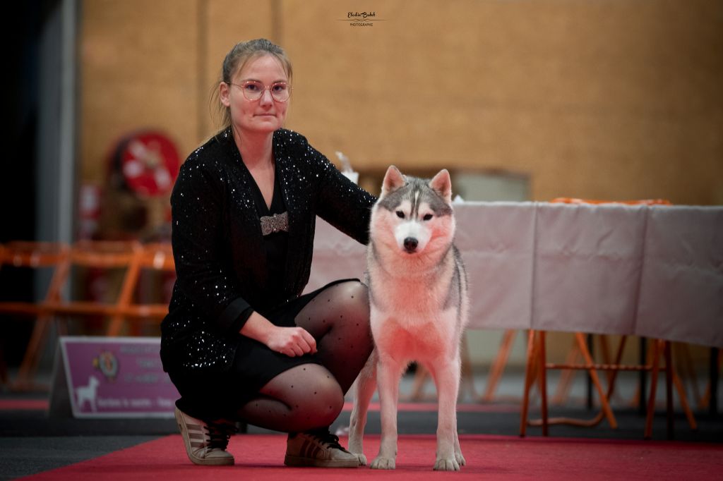 Seppia de L'Igloo des Sables - Excellent /10