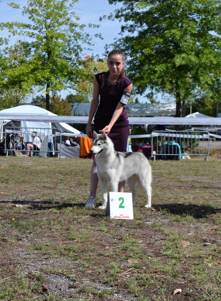 Seppia de L'Igloo des Sables - 2ème Très prometteur /11