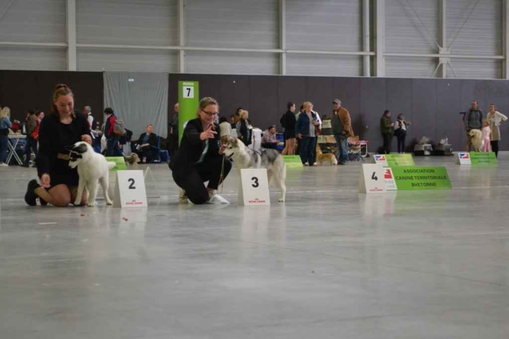 Seppia de L'Igloo des Sables - 3ème Prometteur