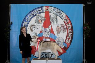 Seppia de L'Igloo des Sables - 4ème Excellent /6