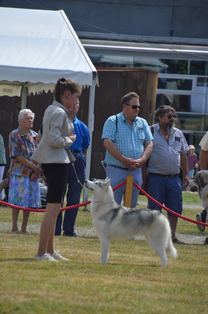 Seppia de L'Igloo des Sables - Très prometteur MEILLEUR PUPPY / MEILLEUR DU GROUPE 6