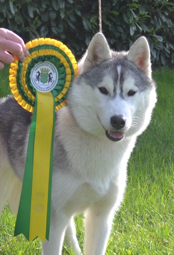 Seppia de L'Igloo des Sables - Très prometteur MEILLEUR BABY