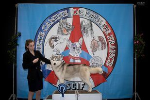 Seppia de L'Igloo des Sables - 1ère Excellent /7