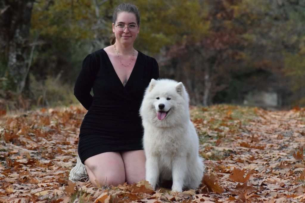 Publication : du val danton