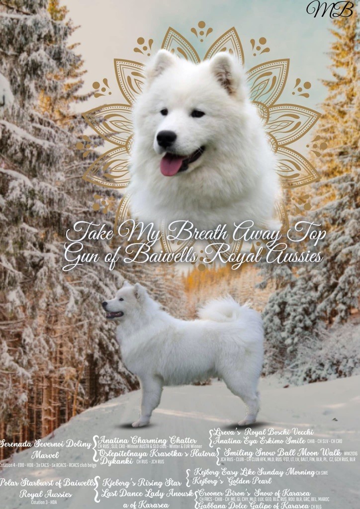 Publication : du val danton