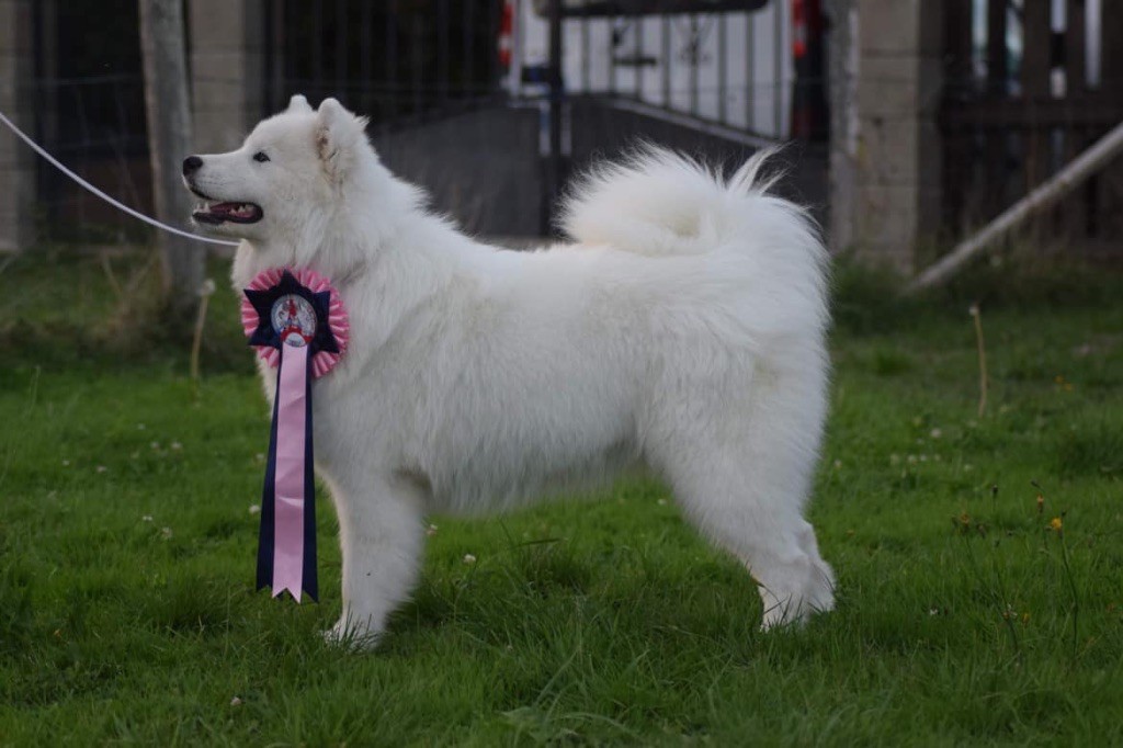 Publication : du val danton