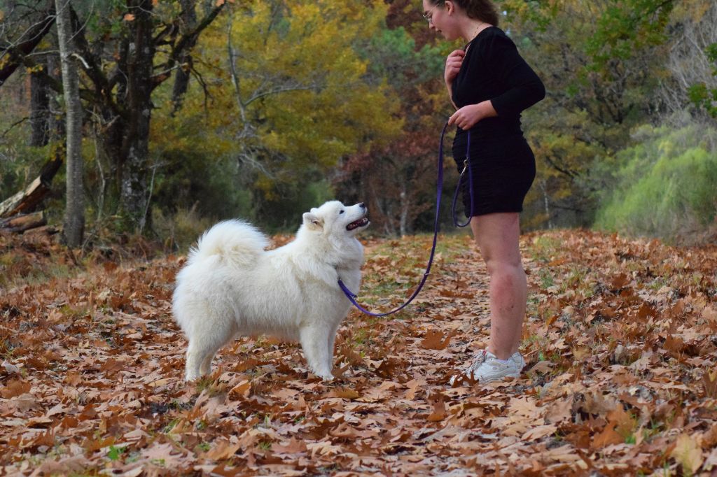 Publication : du val danton