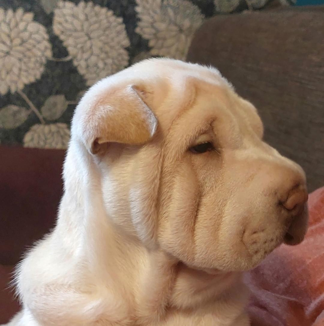 AYANA ALOHA MANAVA De La Cote Des Sables