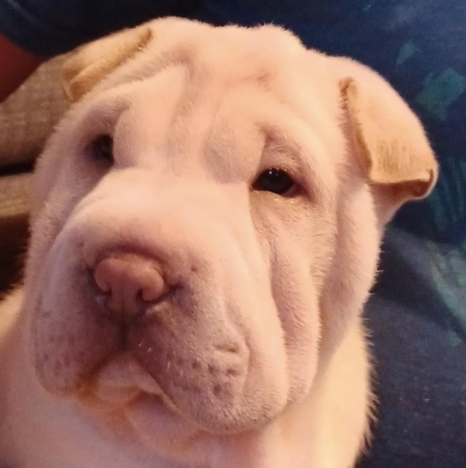 AYANA ALOHA MANAVA De La Cote Des Sables