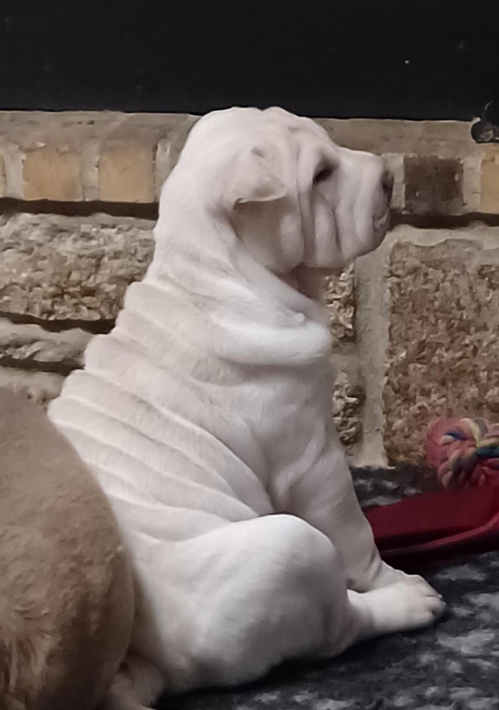 AYANA ALOHA MANAVA De La Cote Des Sables