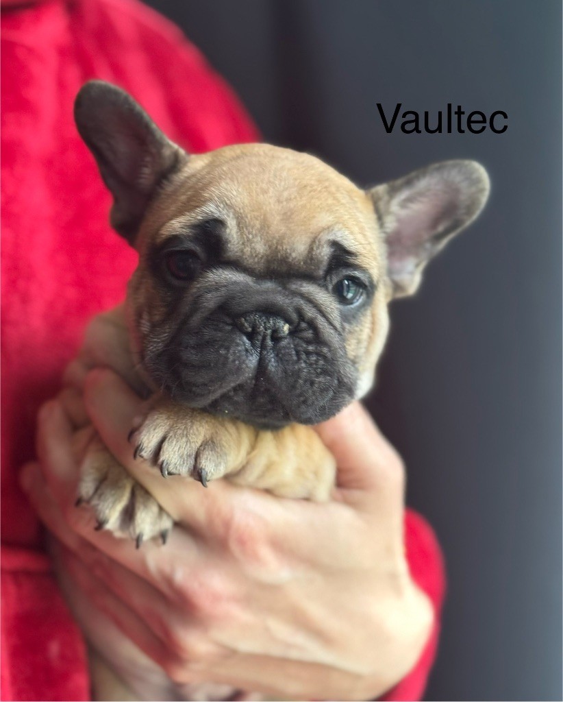 Vaultec