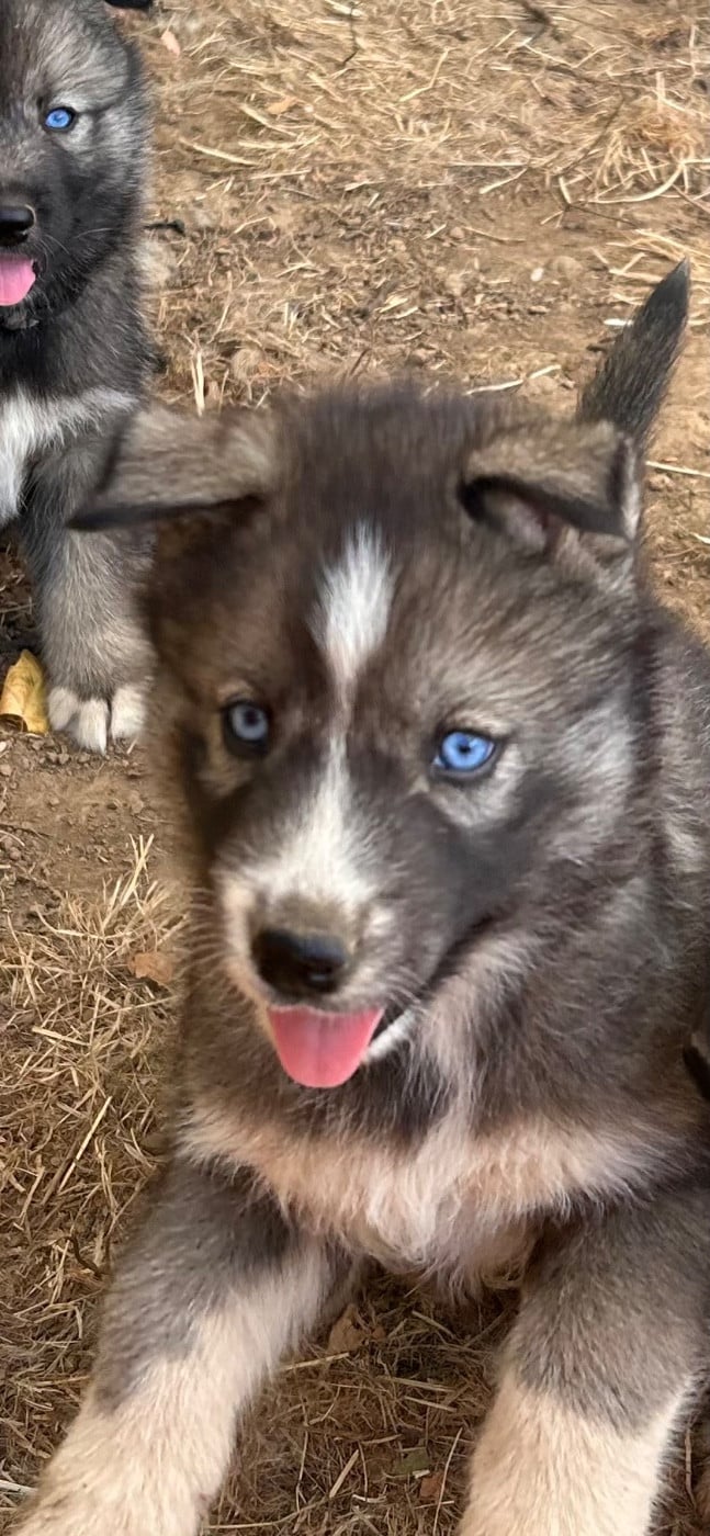 Balya