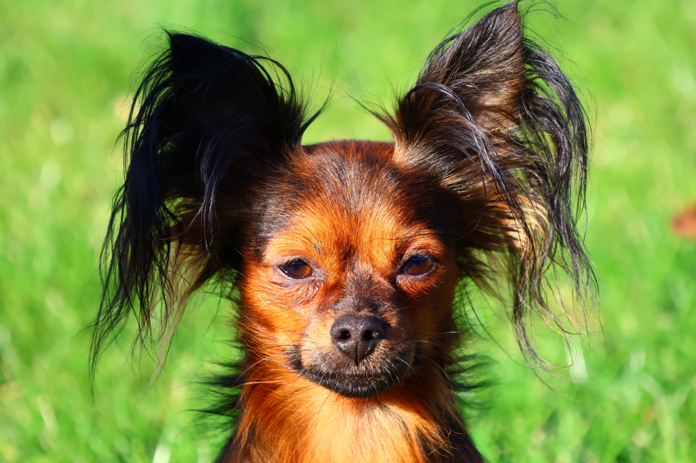 laskovaya rus' Geroy moego romana