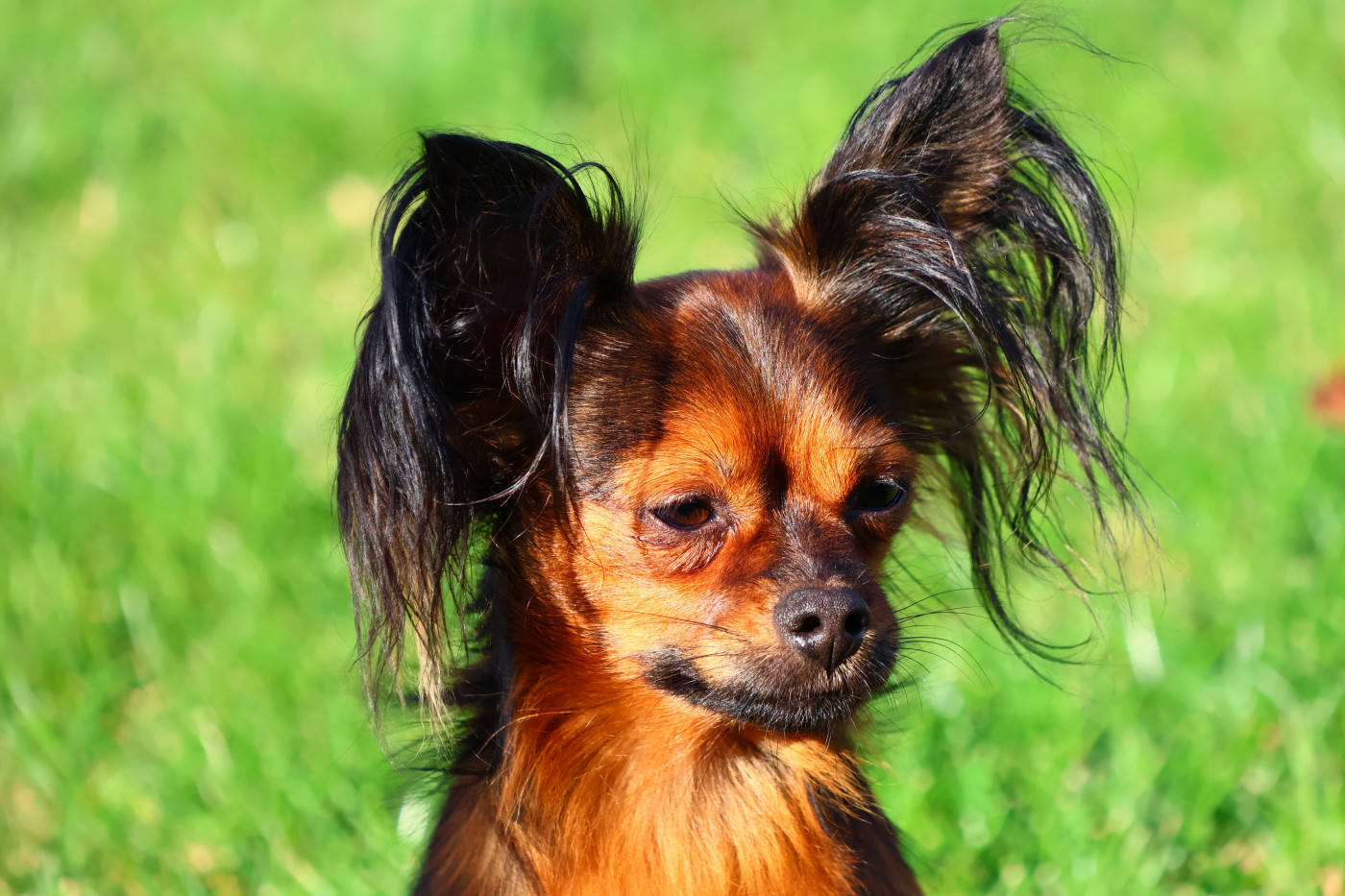 laskovaya rus' Geroy moego romana