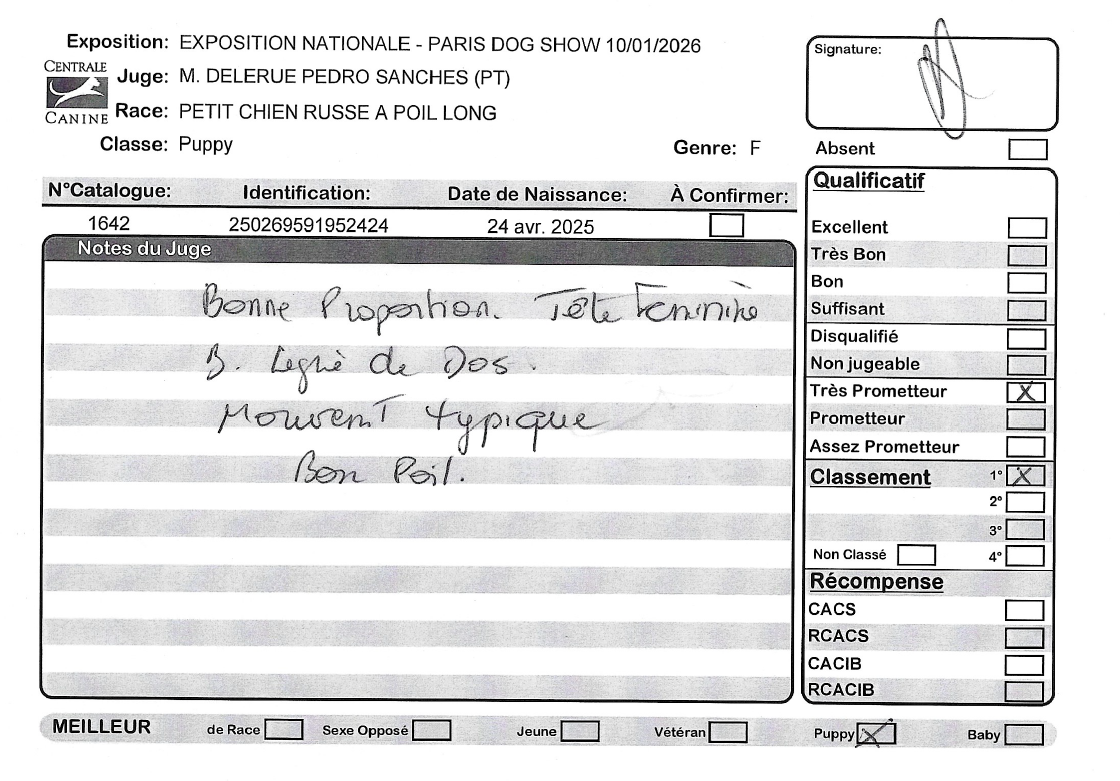 Ava De la Nouknoukerie - 1er, Très prometteur, meilleur baby