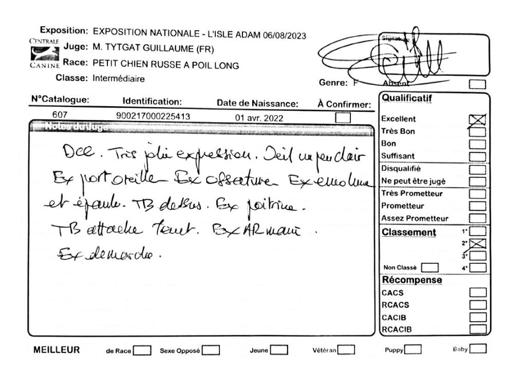 laskovaya rus' Rubinka - 2ème Excellent