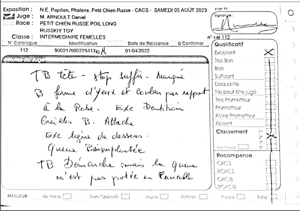 laskovaya rus' Rubinka - 2ème Excellent