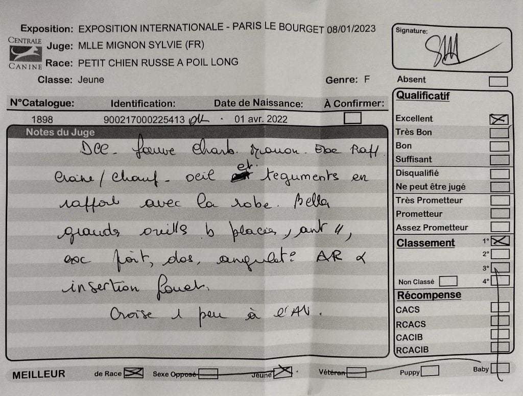 laskovaya rus' Rubinka - 1ère, Excellent, Meilleur jeune, Meilleur de race