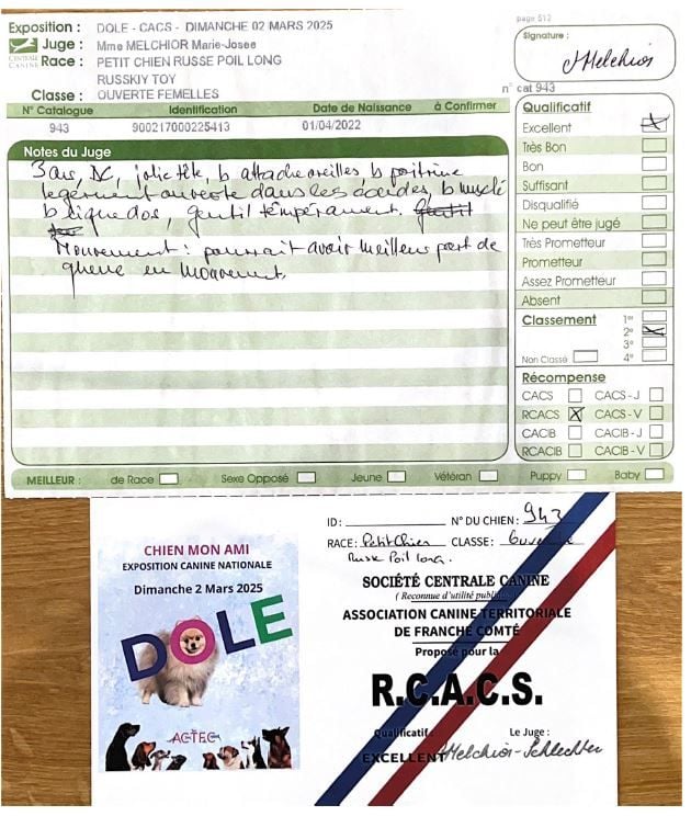 laskovaya rus' Rubinka - 2ème, Excellent, RCACS