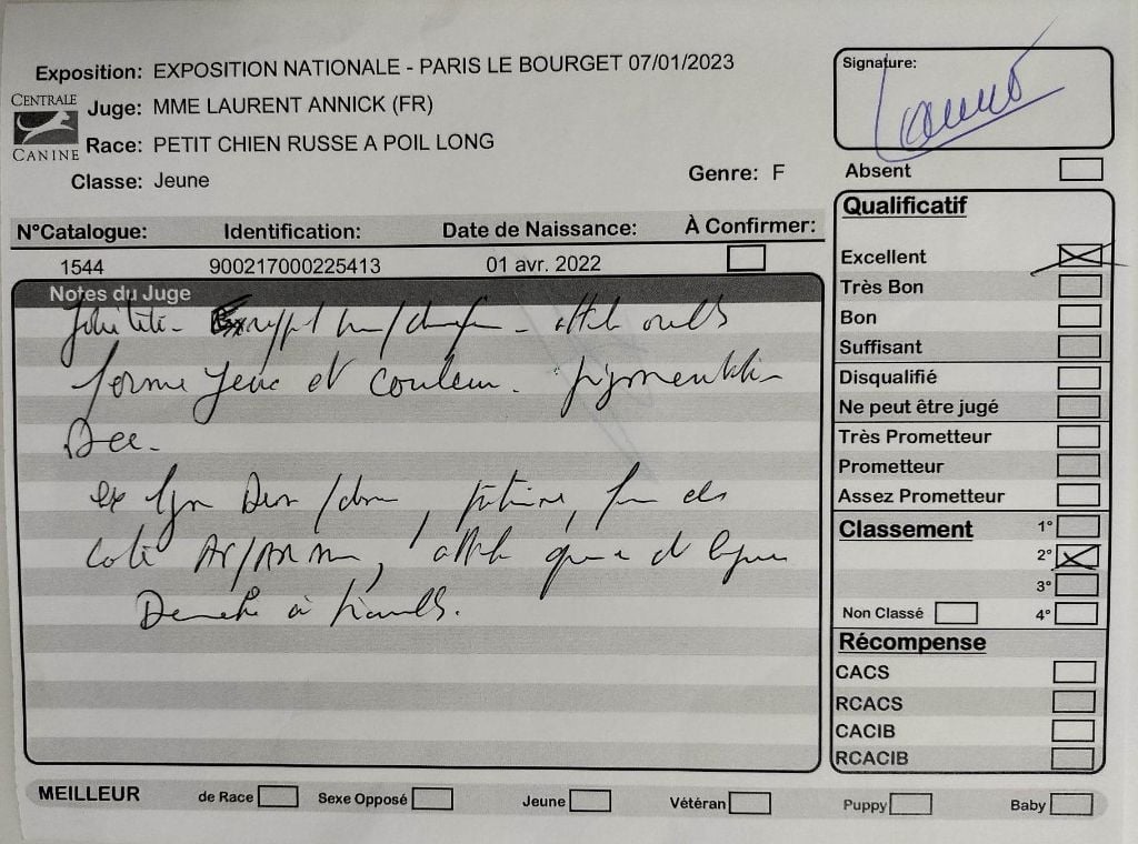 laskovaya rus' Rubinka - 2ème, Excellent