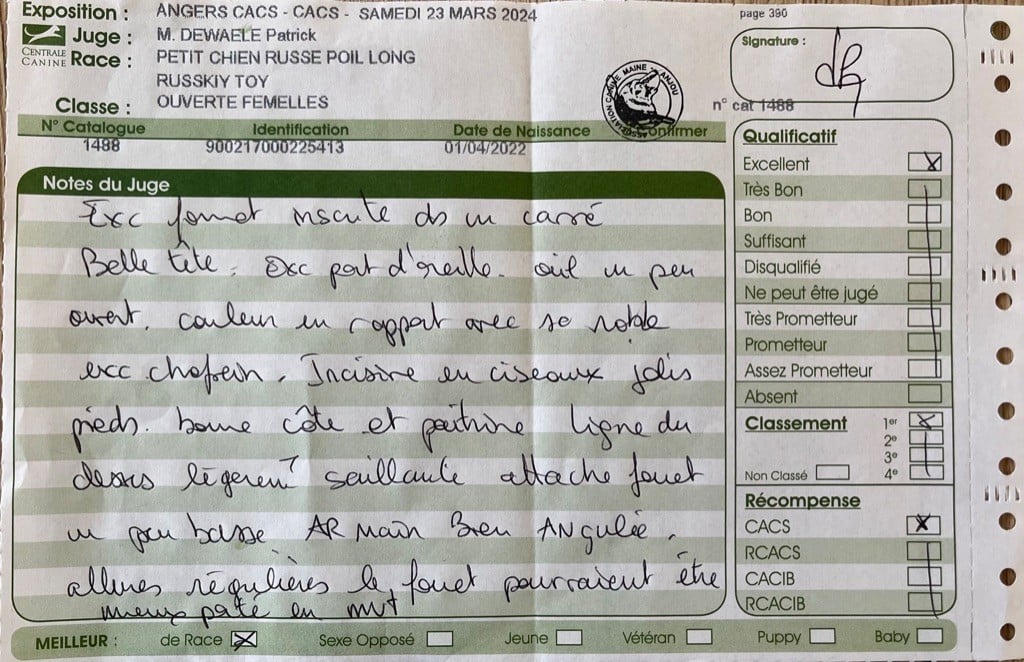 laskovaya rus' Rubinka - 1er, Excellent, CACS, Meilleur de race