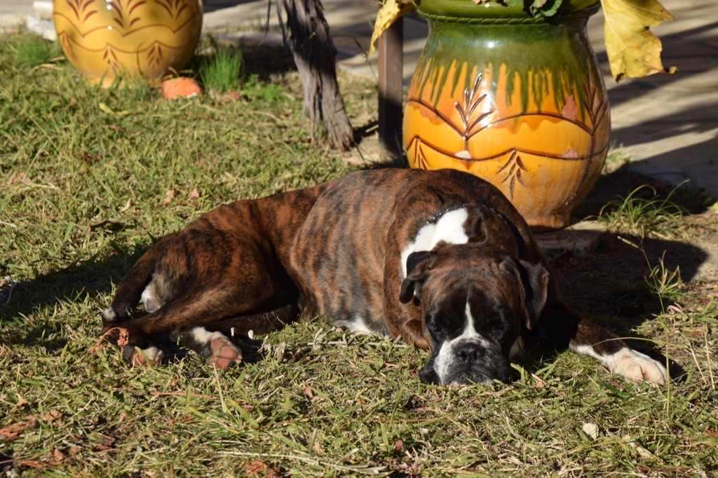 Publication : Du Domaine De Lallybrock