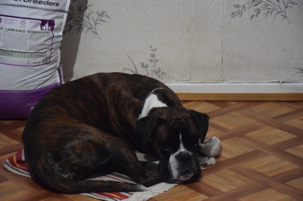 Publication : Du Domaine De Lallybrock