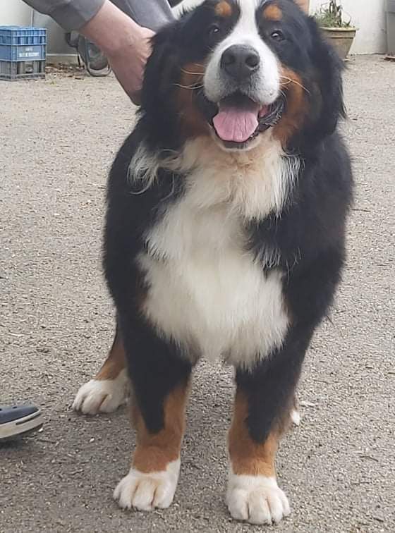 Publication : Des Legendes Du Triskel