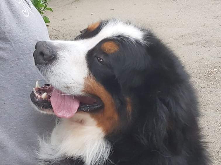 Publication : Des Legendes Du Triskel