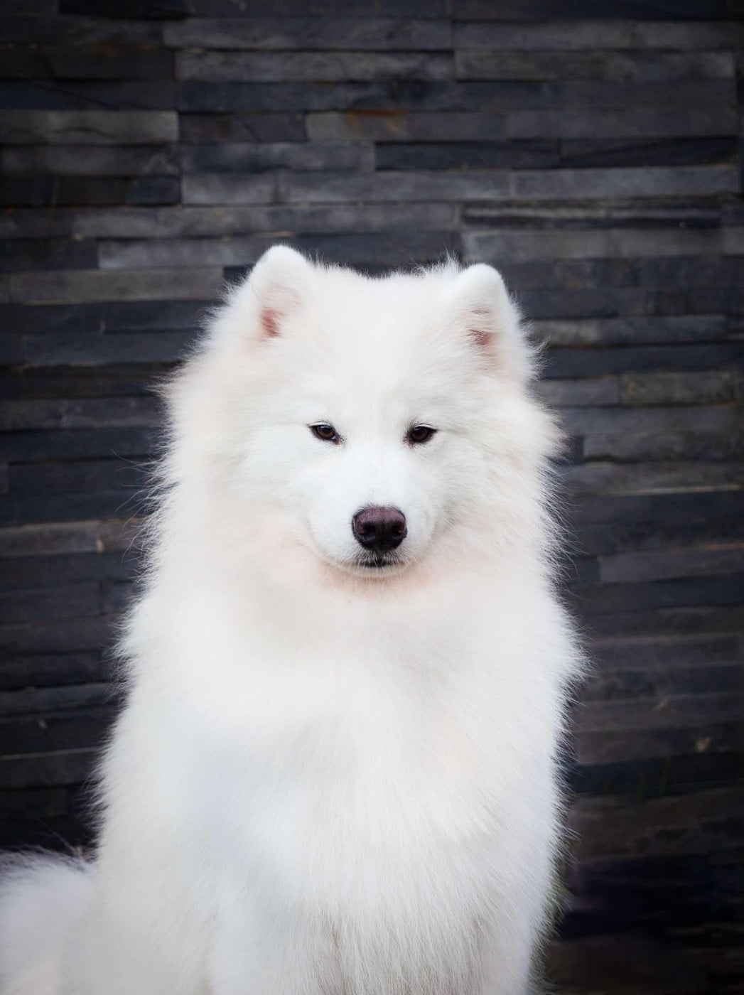 Vulcano stromboli Of The Polar Unicorn Star