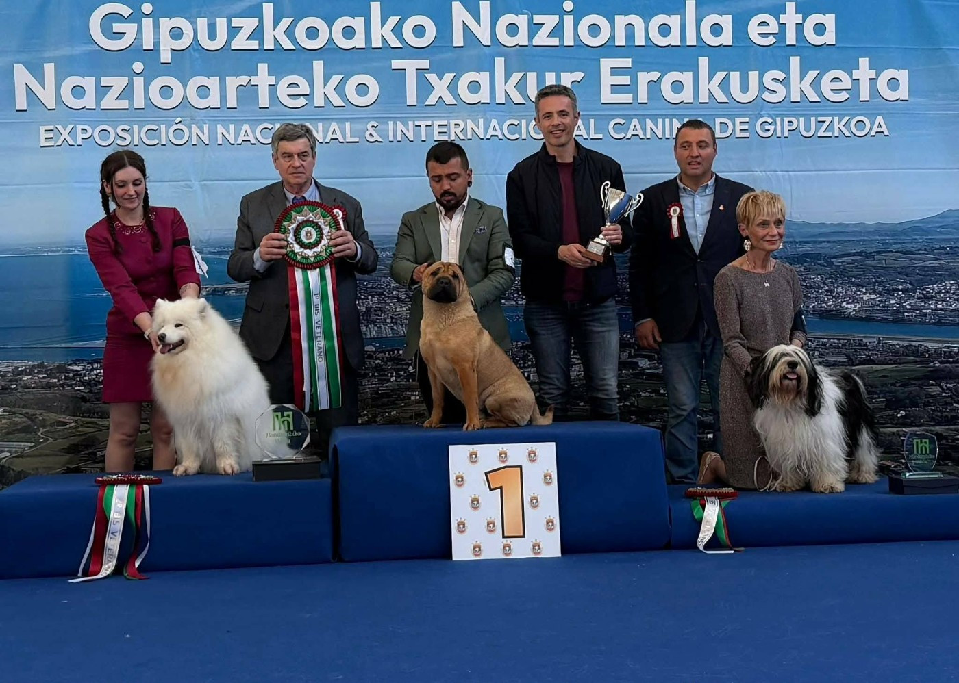 CH. anatina Coffee call - 1er EXCELLENT CAC-V CACIB-V MEILLEUR VETERAN DE LA RACE MEILLEUR DE SEXE OPPOSEE 2eme MEILLEUR VETERAN DE L'EXPOSITION