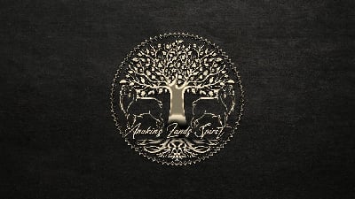 Anakin's Lands Spirit