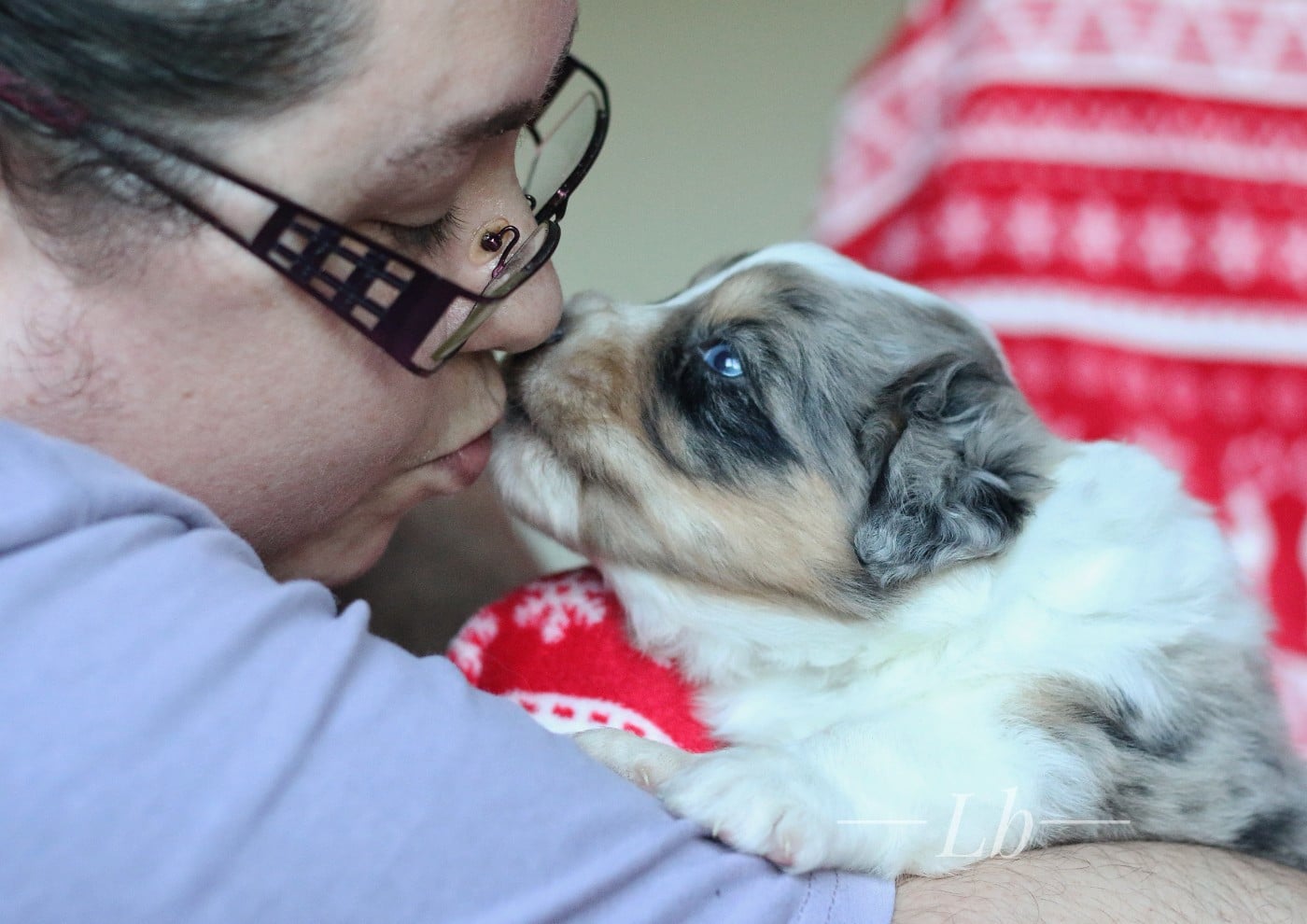 Arlequin el Lobo azul