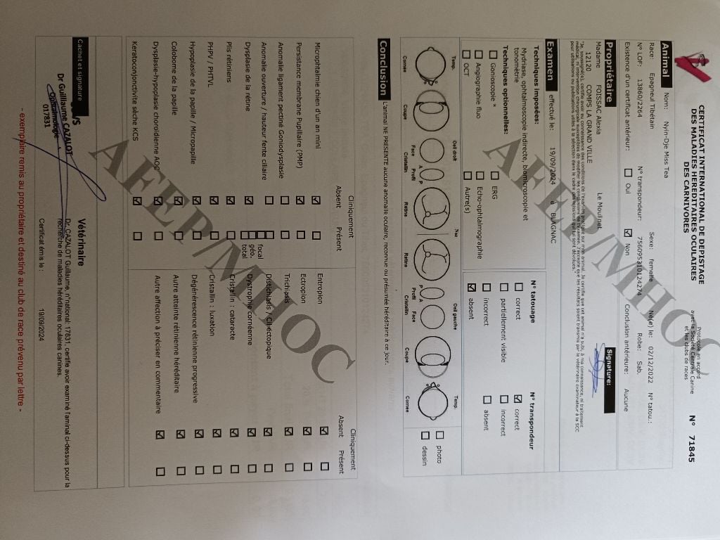 Publication : du Rêve des Joyaux