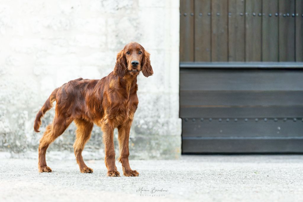 Striking starlight lofty