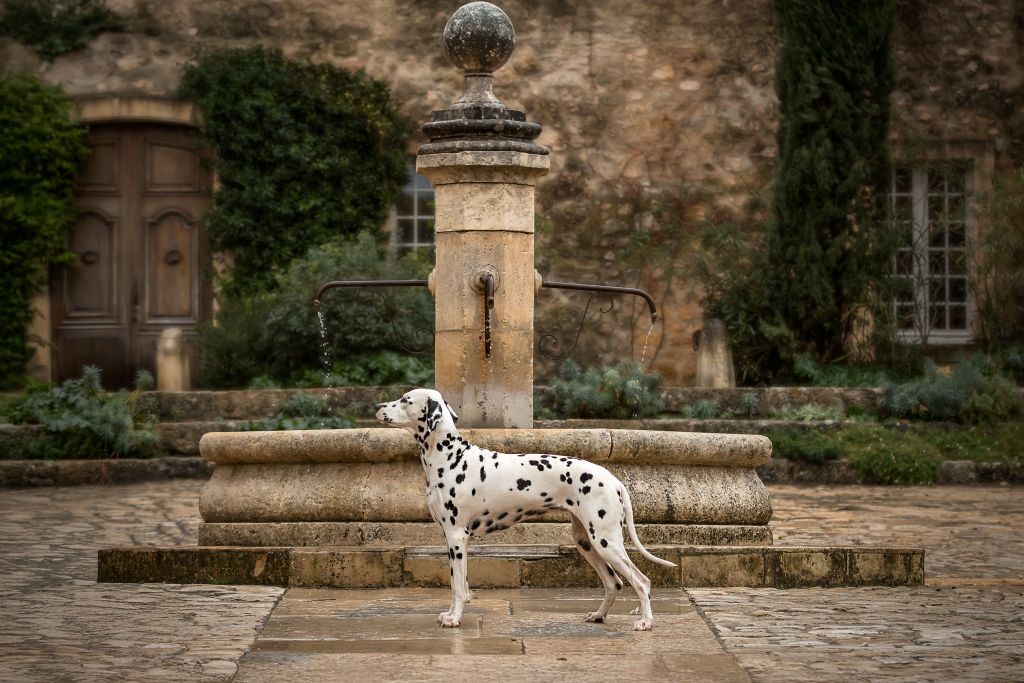 Unchained angel du Moulin de L'Age