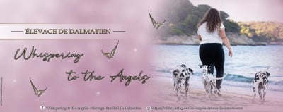 Whispering To The Angels