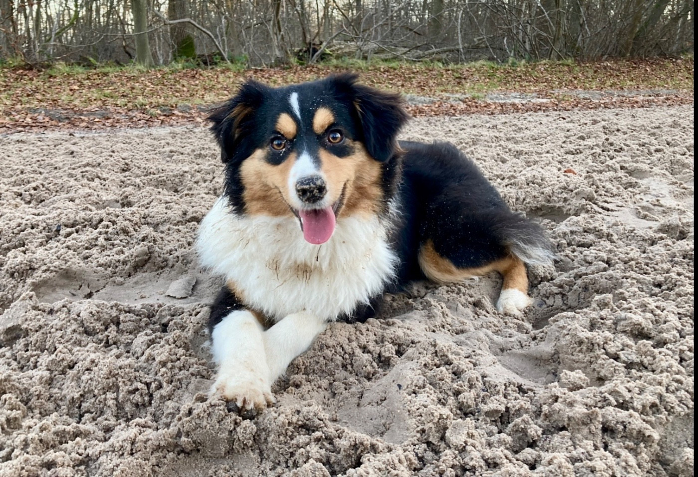 Publication : of Precious Stone Race Auteur : Lobel Jeremy