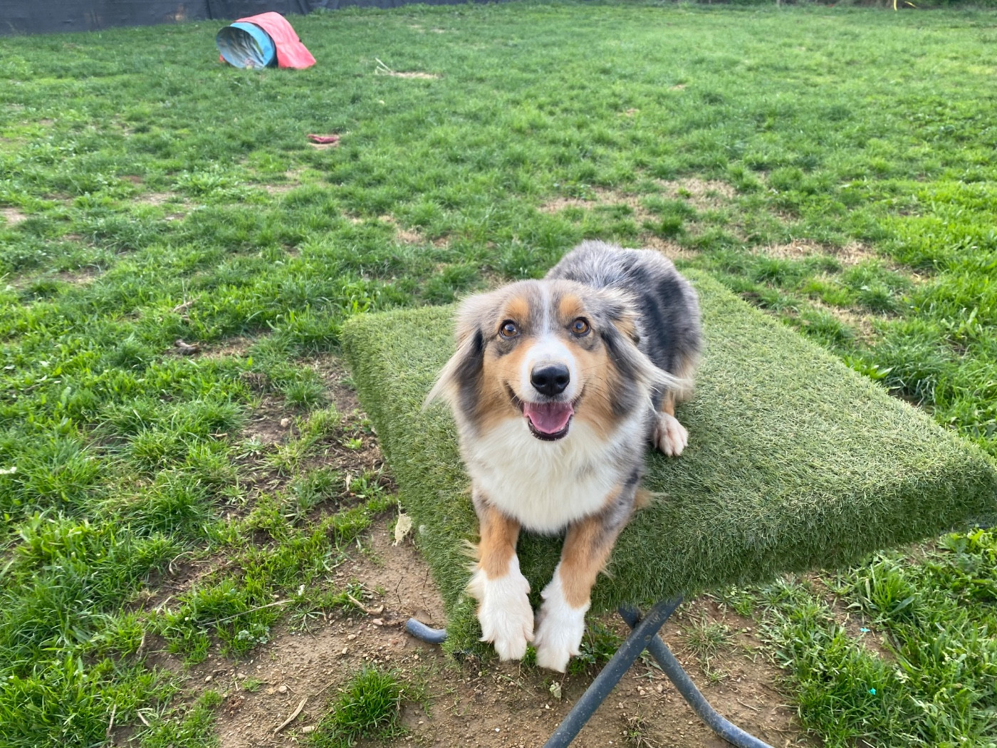 Twix domaine de milk