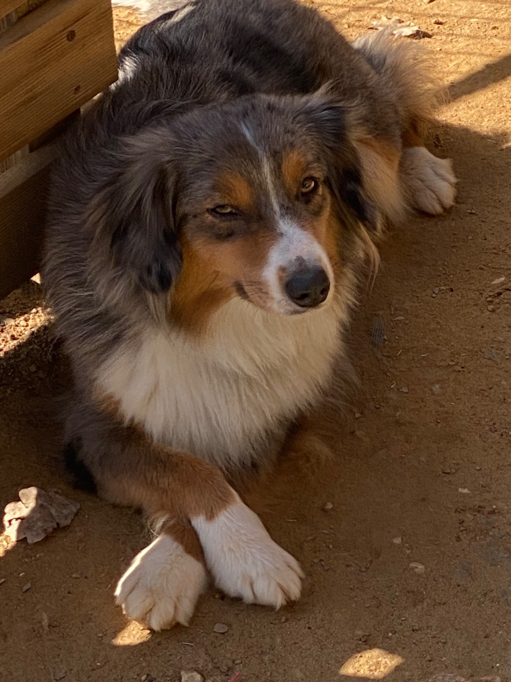 Twix domaine de milk