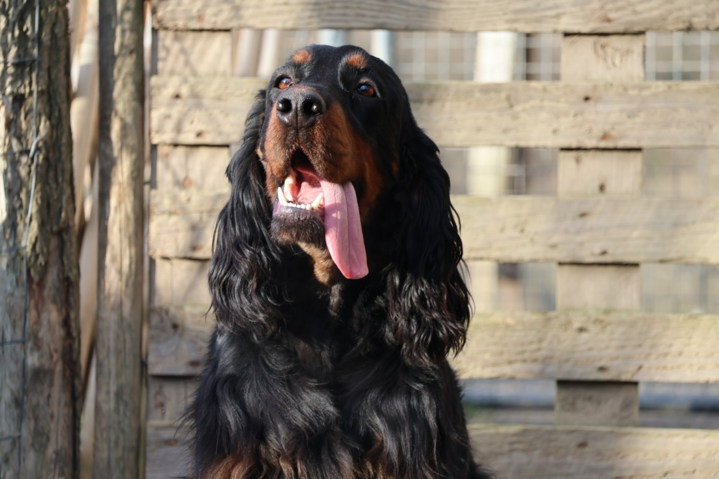 Publication : Du Domaine De Phoebapooros