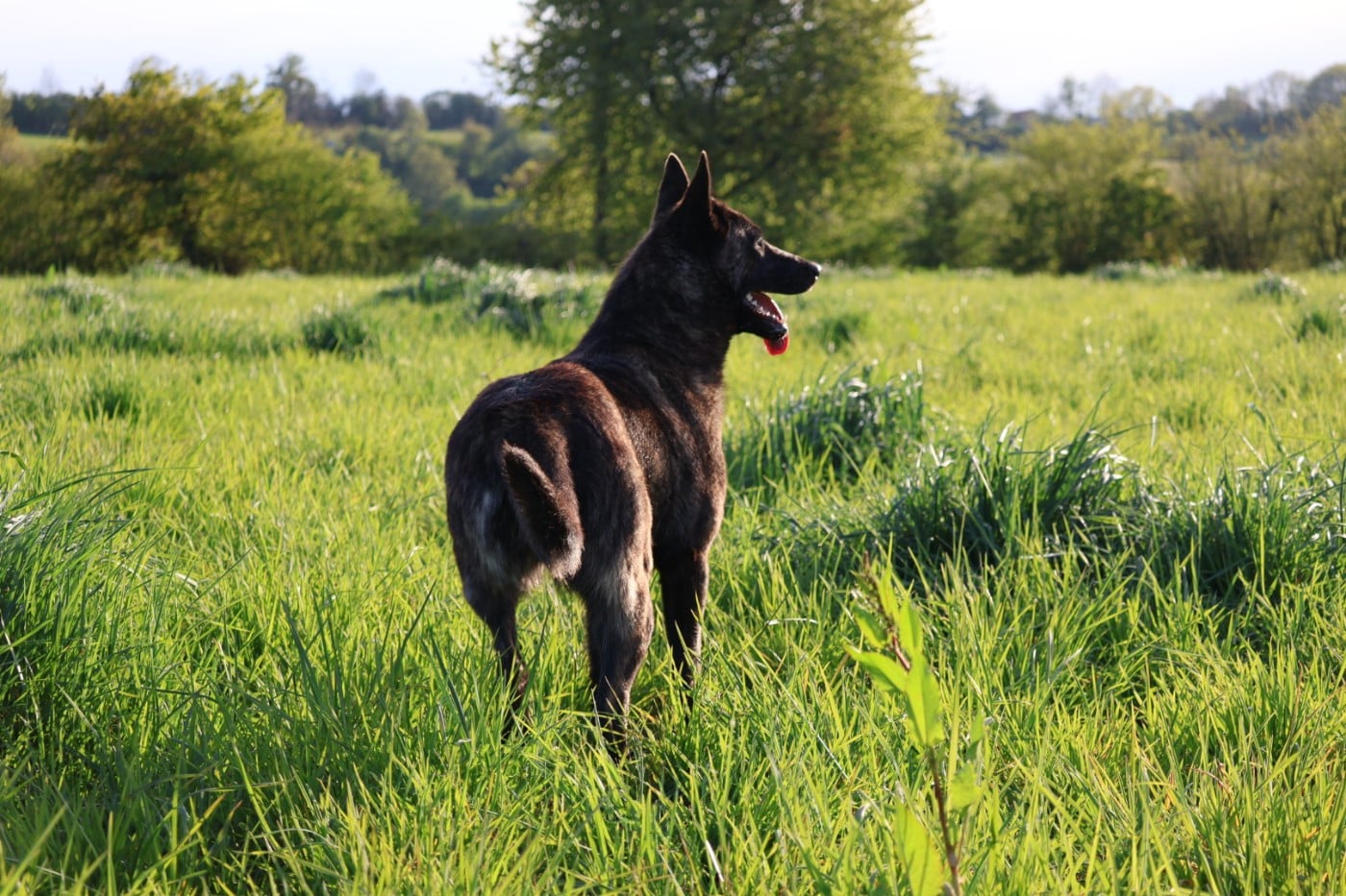 Des Gardiens De La Seine Venga