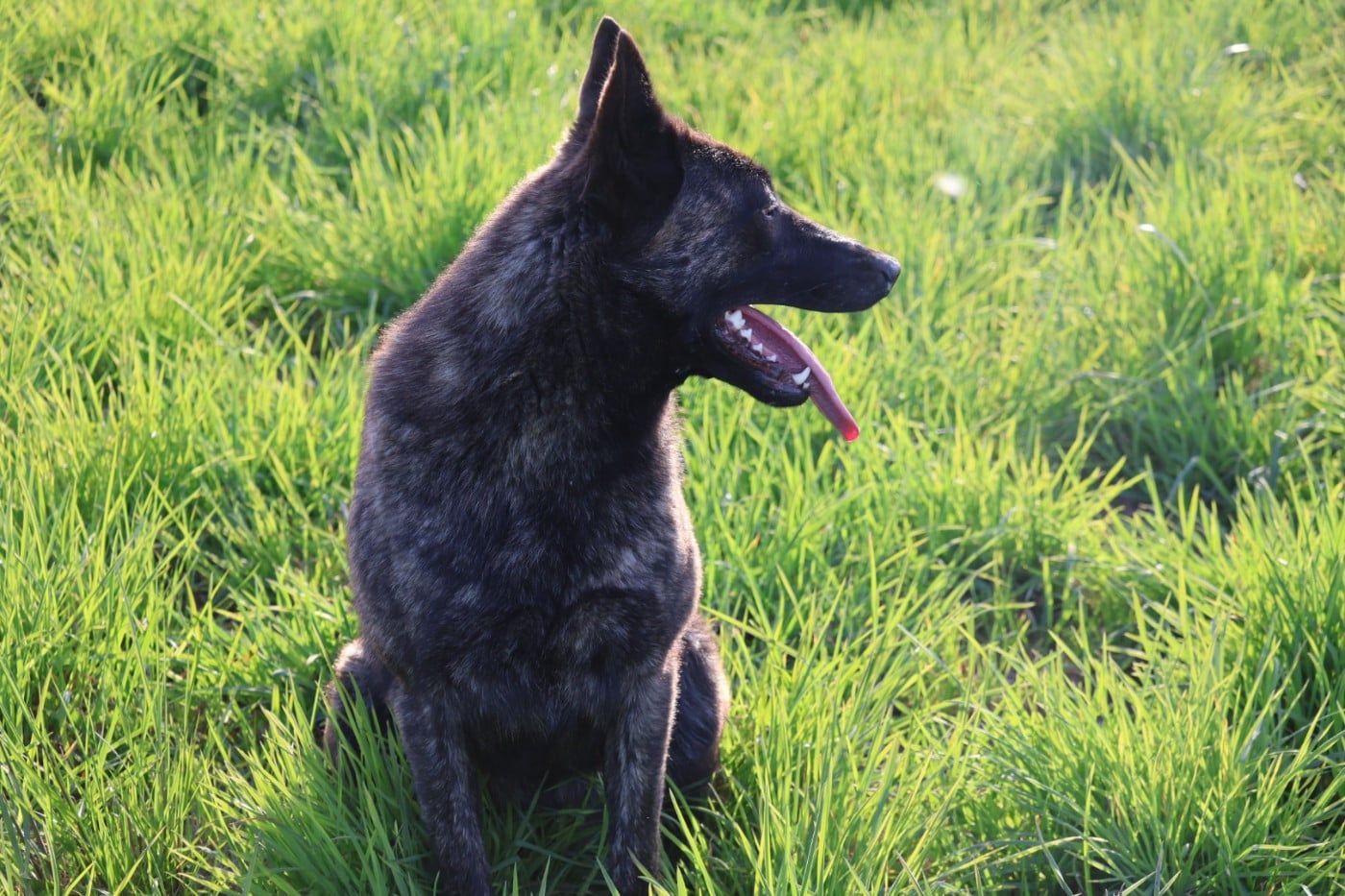 Des Gardiens De La Seine Venga