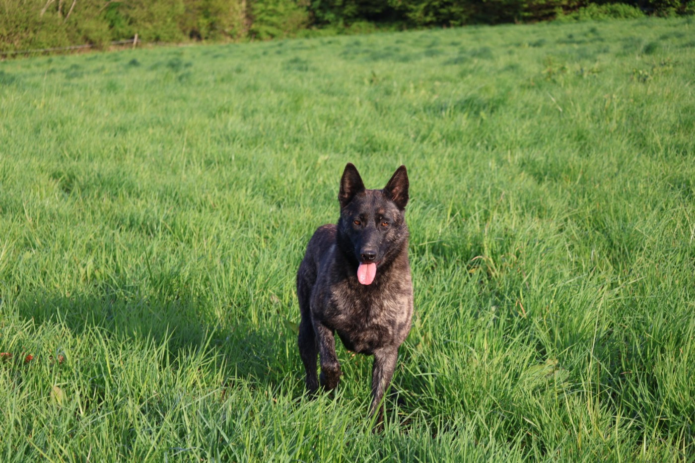 Des Gardiens De La Seine Venga