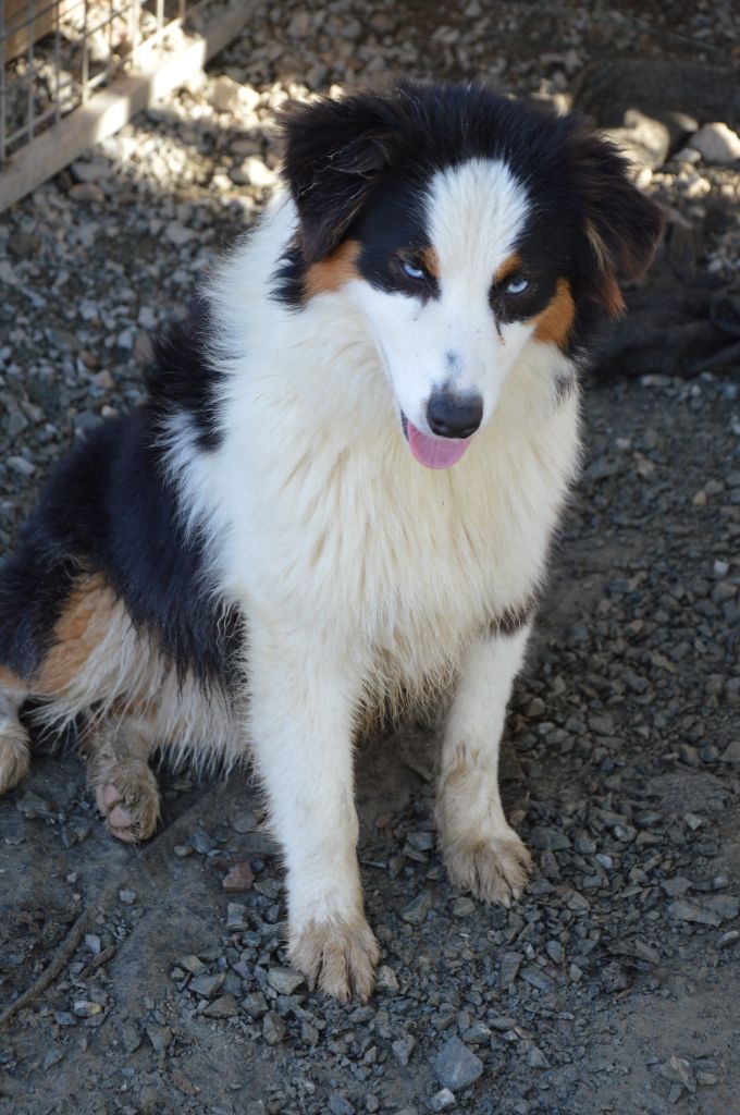 Publication : Du Mont Des Quatre Lunes