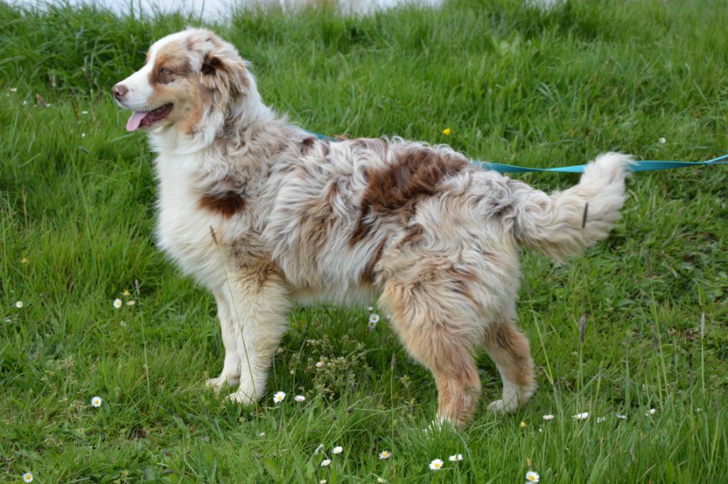 Publication : Du Mont Des Quatre Lunes